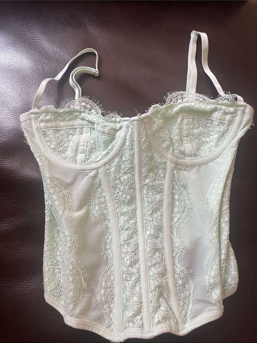 Delicate Lace Bustier Top in Pale Mint